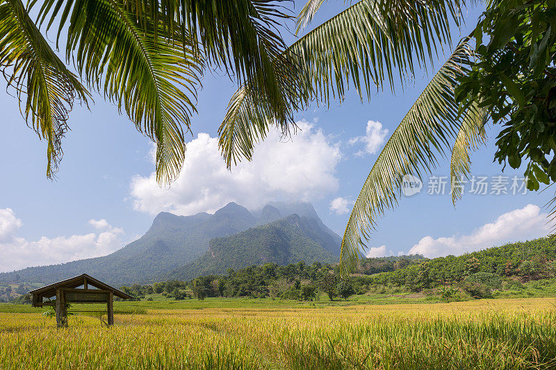 Doi Luang 山和清道。